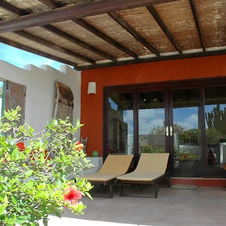 Los Arboles De Finca Malvarrosa *